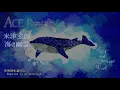 【作業用BGM】米津玄師 海の幽霊 / Spirits of the Sea ～オルゴールフルアレンジ～ ( 海獣の子供」主題歌 ) - ACE Fantasy