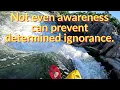 Not Even Awareness Can Prevent Determined Ignorance Great Falls and Mather Gorge 2 94 2024-06-19