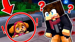Je dois RETROUVER STELLA ENCEINTE de la PAT PATROUILLE sur Minecraft ! ( cache cache )