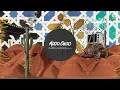 TWENTY SIX, Amal Nemer – Besame Lento - Mood Child