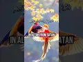 Download Lagu Surah Al_Ikhlas#Quran #quranrecitation #qurantilawat#quranrecitationreallybeautiful#foryou#fyp#viral
