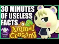 30 minutes of useless information about Animal Crossing New Leaf on the 3DS