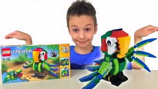 LEGO Creator 31031 конструктор 3в1. Открываем и собираем Видео для детей Развивающее Видео