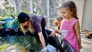 We Put New Fish In Our Backyard Pond!