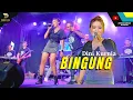 Download Lagu Dini Kurnia - Bingung - Ft Ader Negro - Official Music Video - New Dhesta