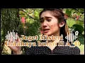 Download Lagu Joget Misteri Terbaru ✅ Indahnya bulan_-(ARI_Rena Sound II A_D New Remix 2025