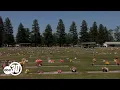 Grand jury report finds many violations in Clovis Cemetery District