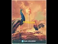 Download Lagu Velundu vinai illai Mayilundu bayam illai