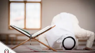 افضل نشيد عن الصلاة 