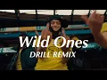 Download Lagu Wild Ones - Flo Rida ft. Sia (Official DRILL Remix)
