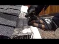 Leaf Filter versus Gutterglove Pro