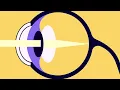 The Visual System How Your Eyes Work