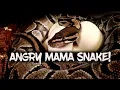 Pulling eggs from an angry snake