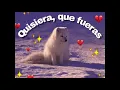 Quisiera - Daniel, Me Estás Matando ft Silvana Estrada