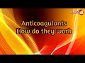 Download Lagu Anticoagulantia Hoe werken ze?