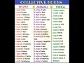 COLLECTIVE NOUNS PEOPLE ANIMALS THINGS GlobalCareerAI