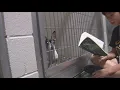 Students learn life lessons animal care at Sacramento SPCA s Camp Kindness