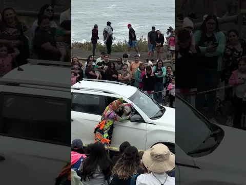 Karcocha y el perro, Constitución Chile 🇨🇱