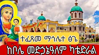 Live በቦሌ መድኃኔዓለም ካቴድራል የተፈጸመ የማኅሌተ ፅጌ የሊቃውንቱ አገልግሉሎት የኦርቶዶክስ ተዋህዶ 