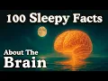 100 Facts About The Brain Fall Asleep to Science