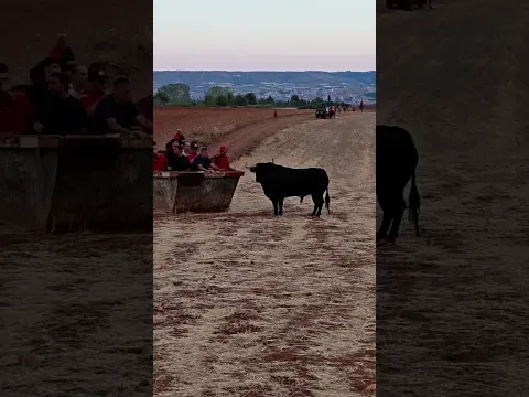 TODA ESTA GENTE TIENE UN GRAN PROBLEMA