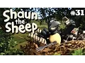 Lagu Magpie | Shaun the Sheep Season 2 | Full Episode