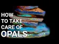 How to take care of Opals