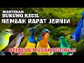 2 jam masteran BURCIL irama sejalur Full tembakan rapat suara jernih PASTI MASUK !
