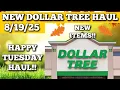 Download Lagu NEW DOLLAR TREE HAUL 8/19/25