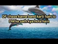 Download Lagu DF CHASE KARNA BAND KARTI HAIN TO DM KE SATH KYA HOTA HAIN