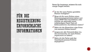 AQHA Leitfaden zum Registrierungsantrag