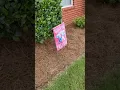 Why we choose pine straw instead of mulch