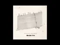 Damien Rice - I Don't Want To Change You