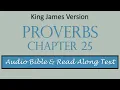 Proverbs 25 KJV DRAMATIZED BIBLE WITH TEXT