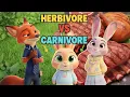 Fox Dad Teaches Bunny About Herbivores vs Carnivores Fun Educational Animal Story for Kids