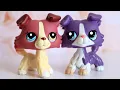 I BOUGHT EVERY LPS COLLIE AND FINISHED MY COLLECTION