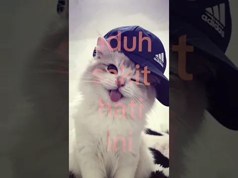 #shortvideo