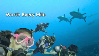 We Came for Fakarava’s Wall of Sharks — But Left With Something More