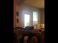 Charleston White GOES OFF on SayCheeseTV girl Vee Hilarious Instagram Live