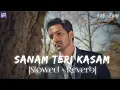 Download Lagu Sanam Teri Kasam (Slowed + Reverb) | Ankit Tiwari \u0026 Palak Muchhal | Lofi -Zone |