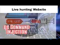 OS command Injection - How to find Live example