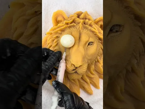 How many times I did it ?? Cute lion 🦁 #asmr #satisfying #shorts #viral