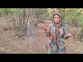 Download Lagu Het bittere geheim van een dakloze moeder; een bekentenis die harten schudt!