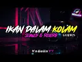 Dj Senyum Senyum Dulu,Senyum Dari Jauh Ikan Dalam Kolam Sound YT | Ikan Dalam Kolam Tiktok