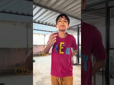Hamara fancy kabutar ko udaa diya talha ne 😱😱 trap karke kabutar pakad liya 😍😍 Talha Ali Vlogs