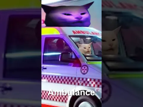Angry Cat Sound Variations
