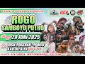 Download Lagu Live Jaranan Rogo Samboyo Putro SHF AUDIO Pugeran Puncu Kediri