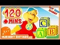 Hip Hop Harry Mega Rhyme Pack OVER 120 MINUTES