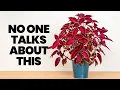 Download Lagu This ONE Thing Changed How My Plants Grow (And No One Talks About It)
