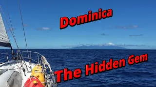Episode 24   The Hidden Gem   Dominica Part 1